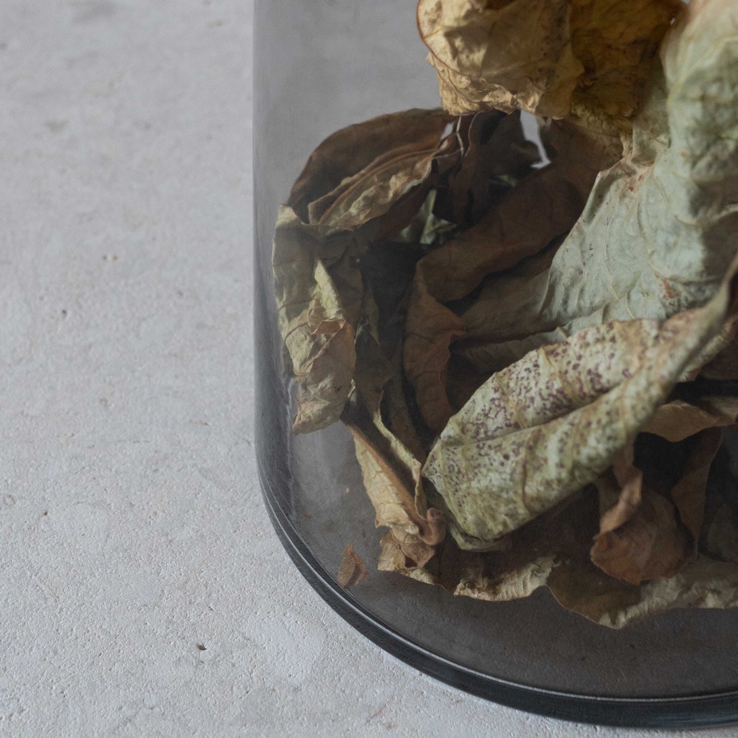 Odessa Decorative Glass Vase | Flower Pot